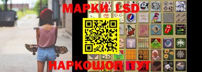 шишки Обнинск