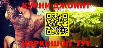 шишки Обнинск