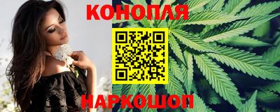 spice Обь