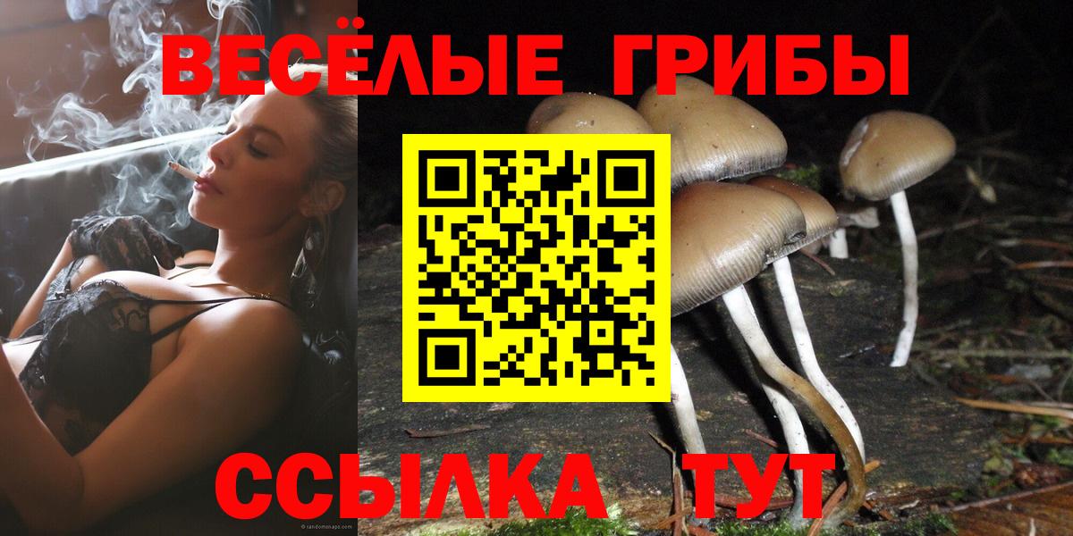 Галлюциногенные грибы мухоморы  Вход с VPN  Учалы 